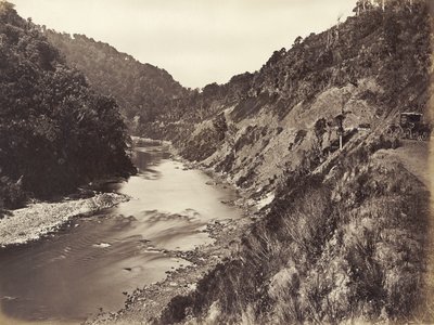 Manawatu Gorge 1 mijl van brug, 1878 door James Bragge